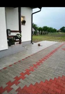 Stari Banovci Villa | Kuća za odmor Sveti Luka