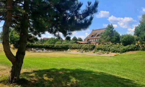 Dabel Hotel | Kur-& Landhotel Borstel - Treff