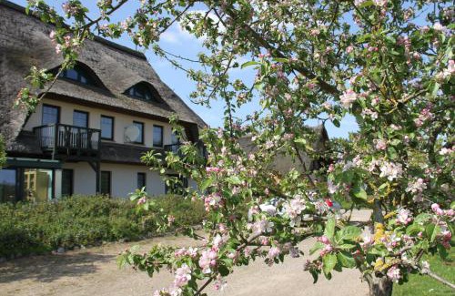 Dabel Hotel | Kur-& Landhotel Borstel - Treff