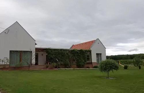 Villanykovesd House | Láng Vendégház