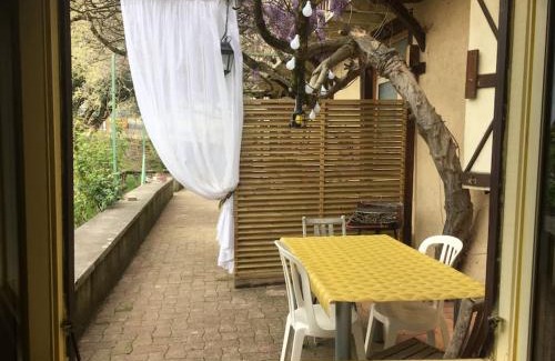 Arbon House | Lérable pourpre de la grotte au lion