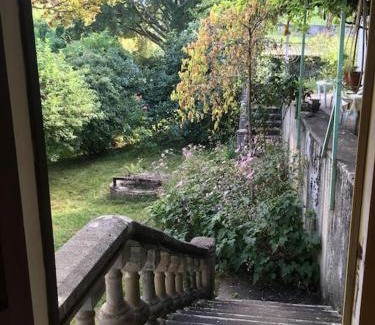 Arbon House | Lérable pourpre de la grotte au lion