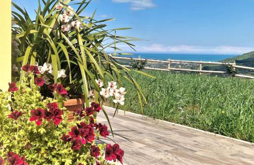 Ripatransone House | Lí da Ste