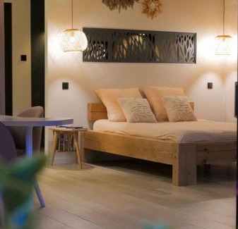 Saint-Etienne-les-Remiremont Apartment | L'écolodgia suite & spa