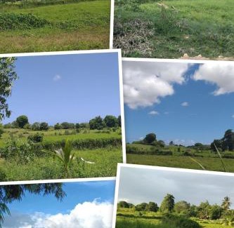 Sainte-Anne Ski Chalet | L'écrin Vert