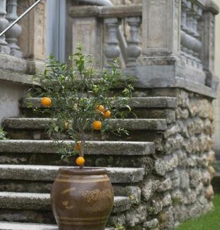 Etoile-sur-Rhone House | L'étoile d'Alice