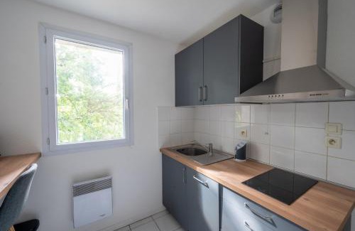 Colomiers Apartment | L'Airbusien - Terrasse et parking - Airbus à coté