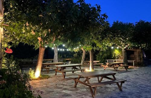 Corte House | L'Albadu