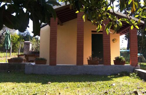 Lanciano House | L'albero delle noci