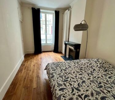 Orleans Apartment | L'apparte de la Lionne , avec terrasse et garage
