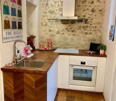 Orleans Apartment | L'apparte de la Lionne , avec terrasse et garage