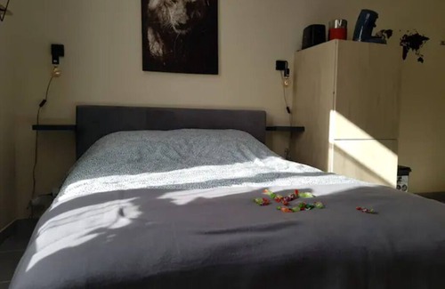 Bourgogne Apartment | L'ATELIER Calm and cosy 2 steps from the cathedral