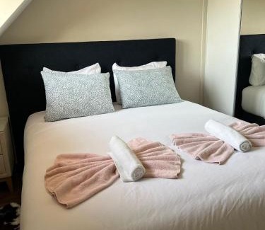 Epagny-Metz-Tessy Apartment | L'attique tout confort de Gillon
