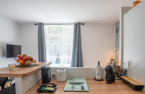 Riom Apartment | L'ELEBASCH - Riom - Randonnée Puy de Dôme