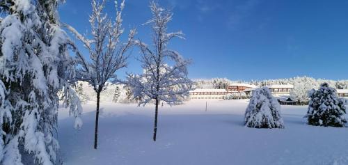 Autrans Resort | L'ESCANDILLE Village Vacances
