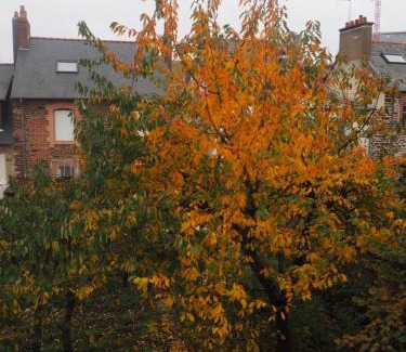 Villeneuve Apartment | L'Etage