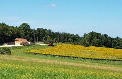 La Chapelle-Aubareil Bed & Breakfast | L'Evidence