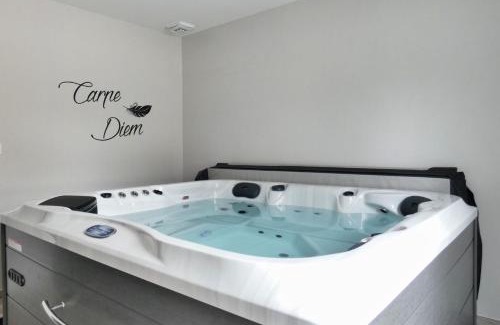 Charavines House | L'HACIENDA swimming pooljacuzzibeach