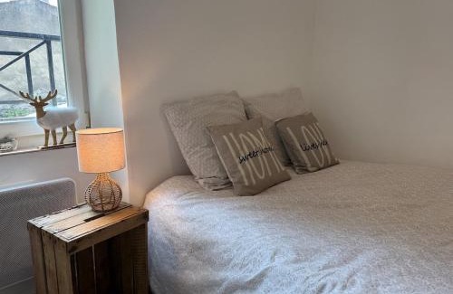 Perignat-les-Sarlieve House | L'Hedera - proche Zenith & Calme