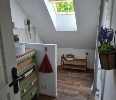 Les Rosiers-sur-Loire House | L inattendu