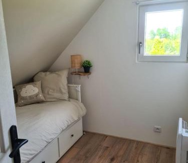 Les Rosiers-sur-Loire House | L inattendu