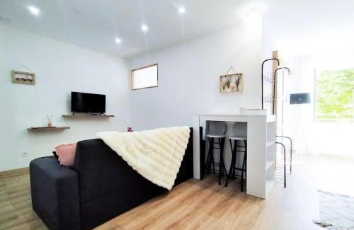 Romans-sur-Isere Apartment | L'Isère depuis les Quais Romanais