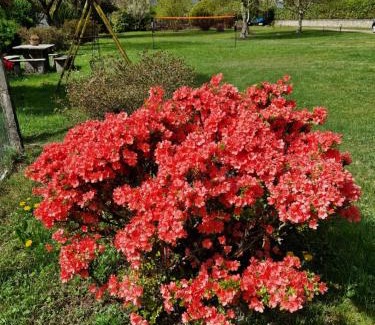 Ameno House | L'Oasi Amena - Camera Pesca