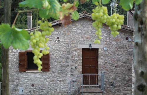 Arrone Apartment | L'oasi di zio Franco - Cascata delle Marmore - Valnerina - Umbria