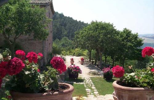 Assisi Apartment | L'Oasi