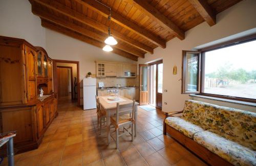 Nuxis Apartment | L'oliveto