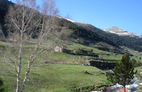 Soldeu Apartment | L'ORENETA - Peu del Riu 712 - Vall d'Incles - Soldeu Hut 8367