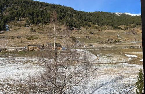Soldeu Apartment | L'ORENETA - Peu del Riu 712 - Vall d'Incles - Soldeu Hut 8367