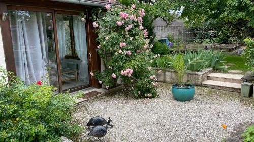 Nouan-sur-Loire Bed & Breakfast | L'Orme Seul, Gîte