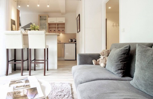 Annecy Old Town Apartment | L Ourson vue Lac