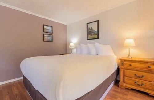 Alert Bay Cabin | (L) Standard Double Cabin (non pet friendly)