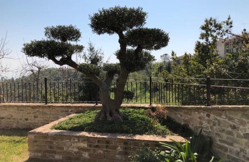 Ripatransone Apartment | L'Ulivo nel Borgo B&B