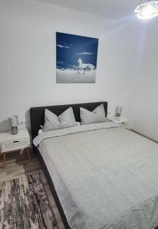 Bistrita Apartment | La Andrei