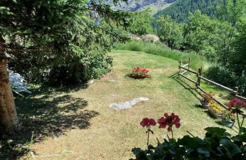 Valsavarenche House | La Baita di Savara - nature and silence