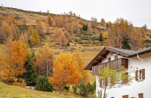 Campodolcino Apartment | La Baita Verde