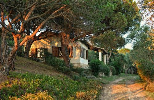 Palafrugell House | La Barraca de Farena