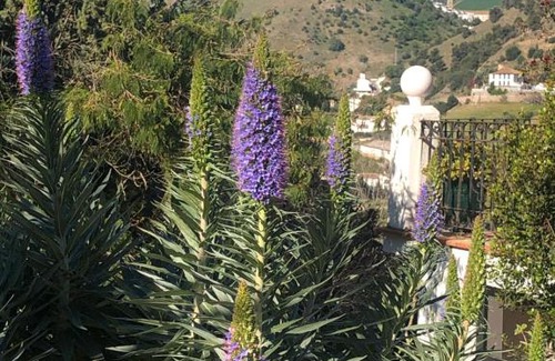Alora Bed & Breakfast | La Barranca de la Barca