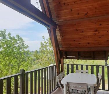 Saint-Sauveur-de-Peyre Apartment | La Barrina