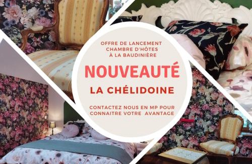 Boyer Bed & Breakfast | La Baudinière, Chambre "La Chélidoine",