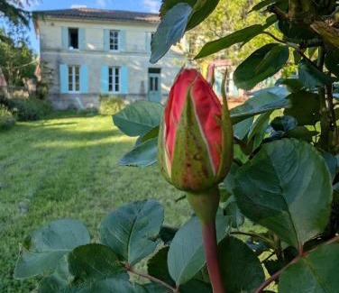 Laruscade Bed & Breakfast | La Belle Verte