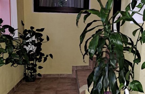 Agnita House | La Bibicu