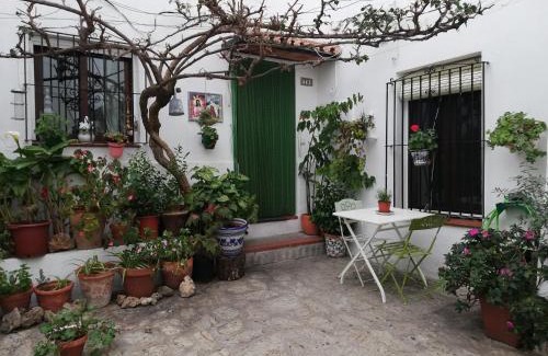 Casares House | La buganvilla de Juana y Antonio