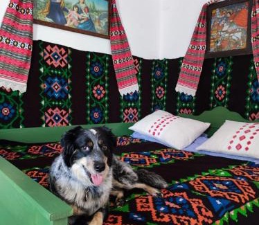 Porumbacu de Jos House | La Bunu Nic