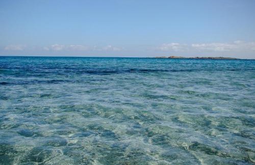 La Caletta Apartment | La Caletta Apartments - a 100 mt dal porto
