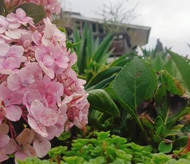 Kundasang Villa | La Cantane Villa