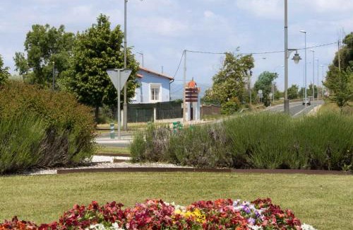 Logrono House | La casa azul,una casa en la ciudad.